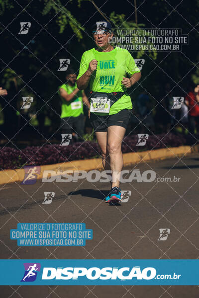 Vale Verde Run 2024