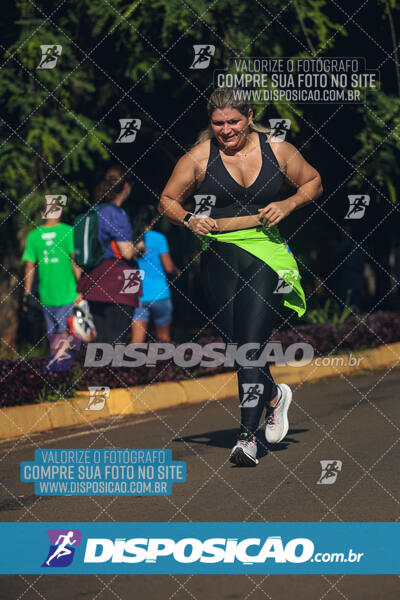 Vale Verde Run 2024