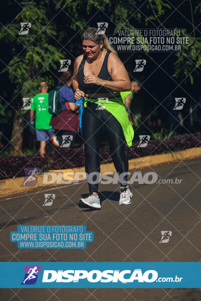 Vale Verde Run 2024