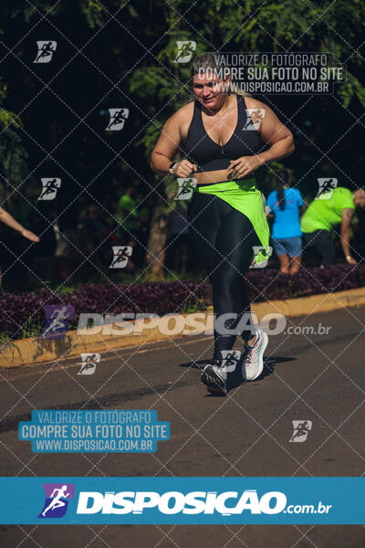 Vale Verde Run 2024