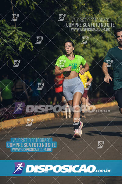 Vale Verde Run 2024