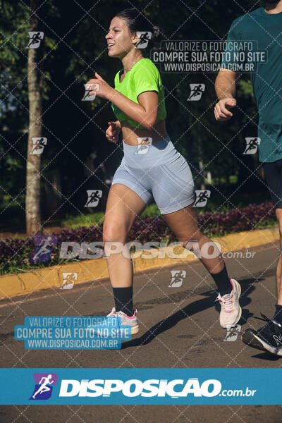 Vale Verde Run 2024