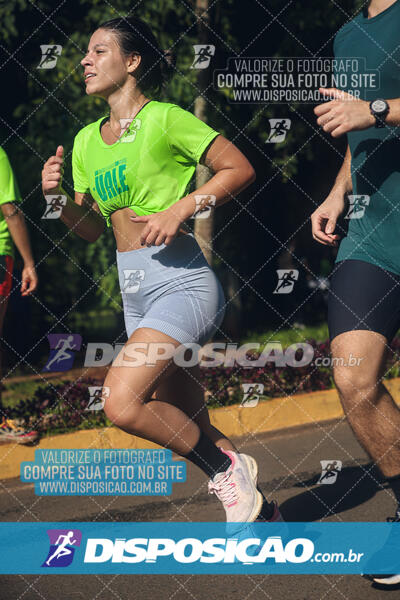 Vale Verde Run 2024