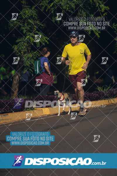 Vale Verde Run 2024