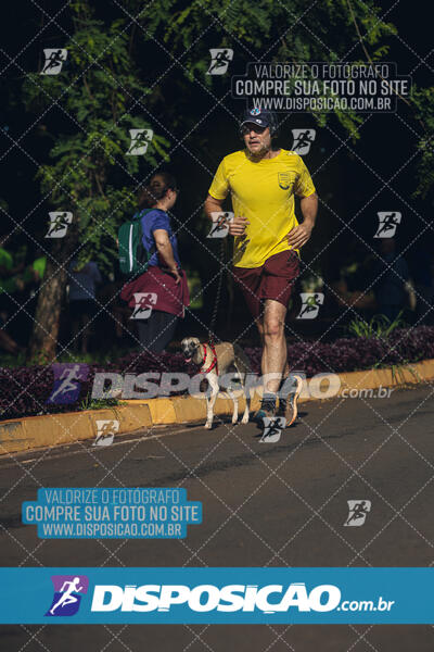 Vale Verde Run 2024