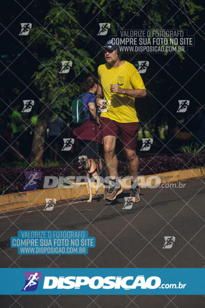 Vale Verde Run 2024