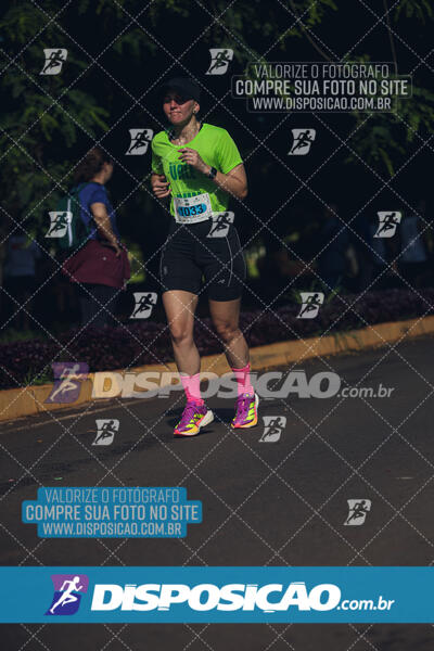 Vale Verde Run 2024