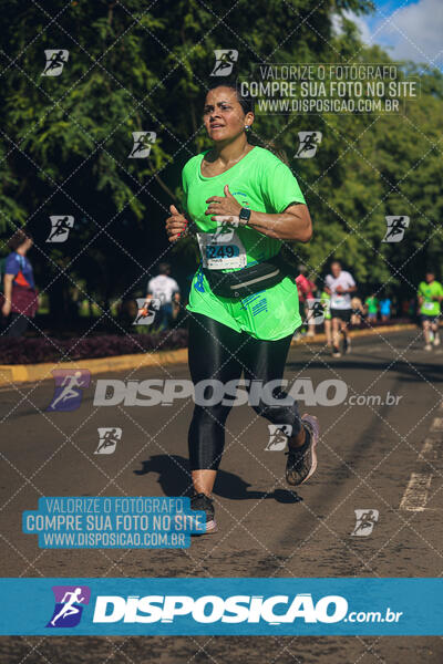 Vale Verde Run 2024