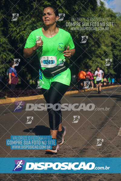 Vale Verde Run 2024