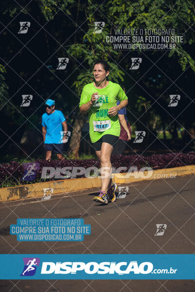 Vale Verde Run 2024