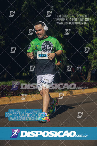 Vale Verde Run 2024