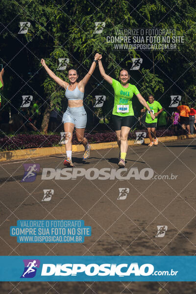 Vale Verde Run 2024