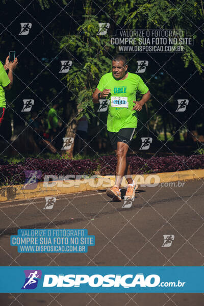 Vale Verde Run 2024