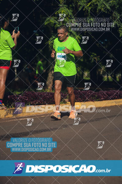 Vale Verde Run 2024