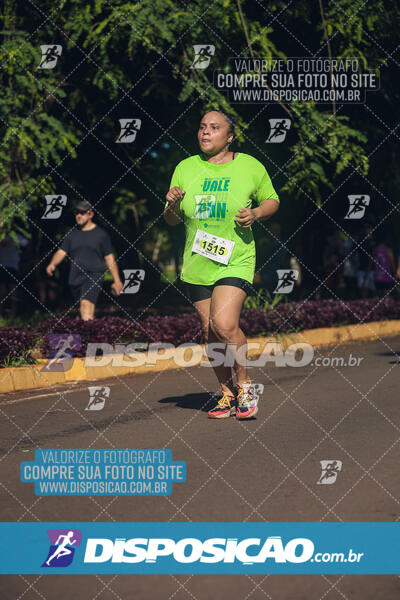 Vale Verde Run 2024