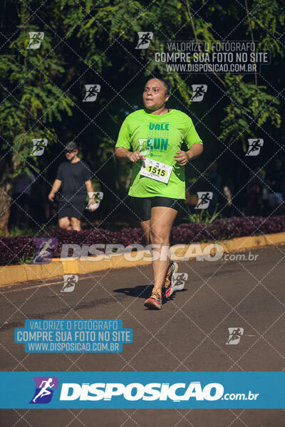 Vale Verde Run 2024