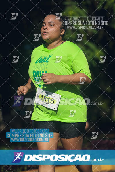 Vale Verde Run 2024