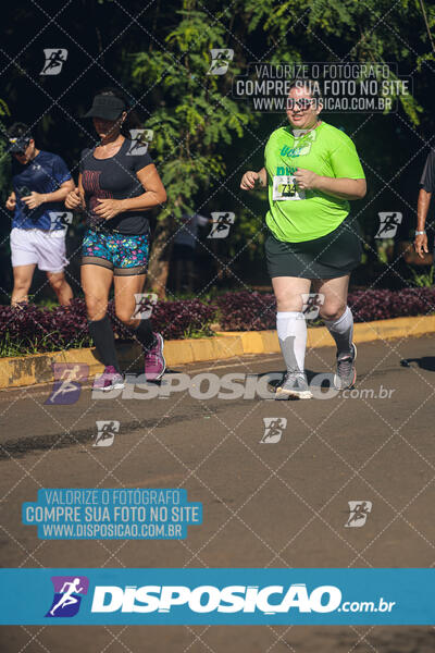 Vale Verde Run 2024