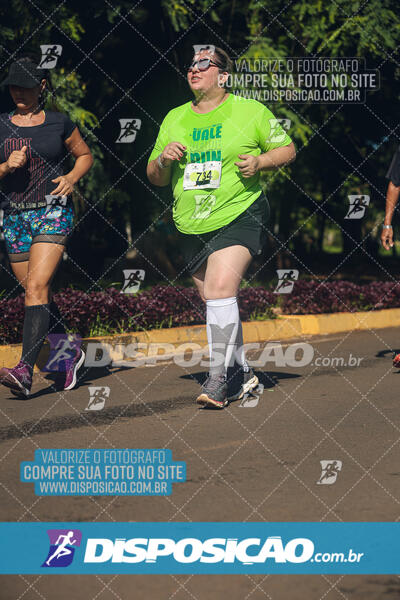 Vale Verde Run 2024