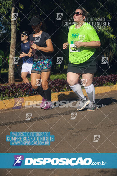 Vale Verde Run 2024