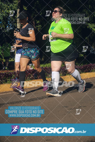 Vale Verde Run 2024