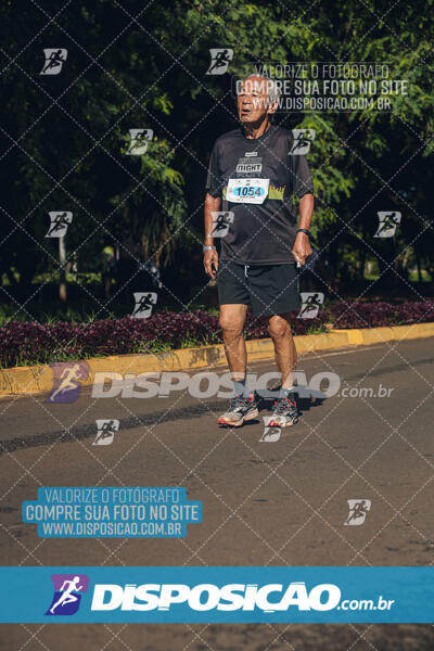 Vale Verde Run 2024