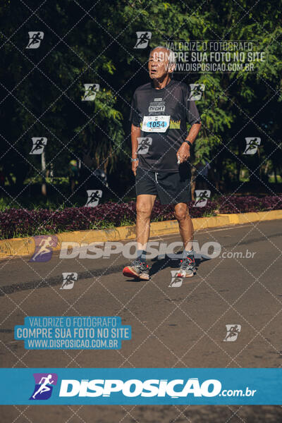 Vale Verde Run 2024