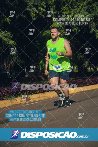 Vale Verde Run 2024