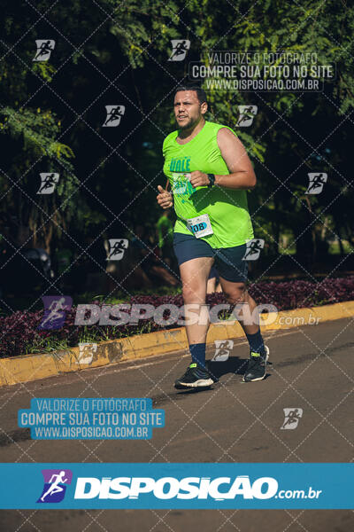 Vale Verde Run 2024