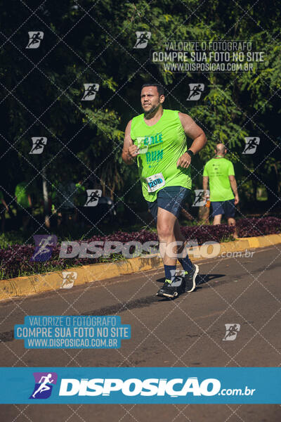 Vale Verde Run 2024