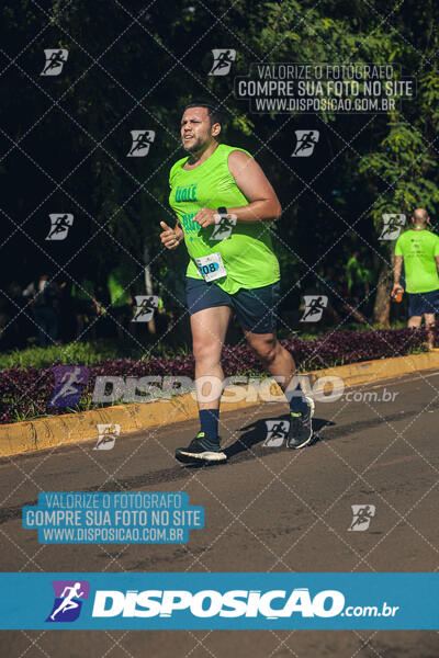 Vale Verde Run 2024