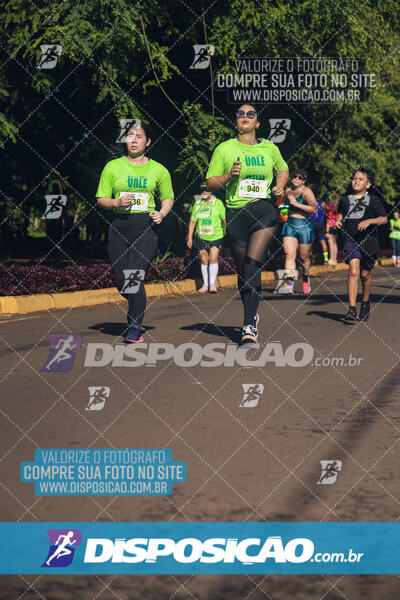 Vale Verde Run 2024