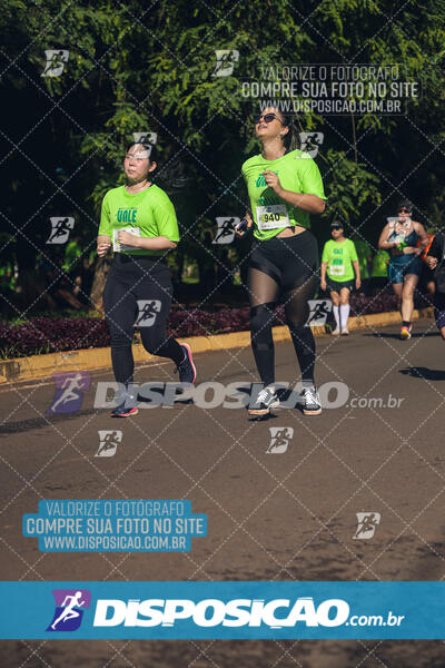 Vale Verde Run 2024