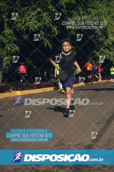 Vale Verde Run 2024