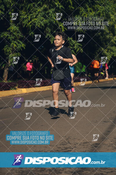 Vale Verde Run 2024