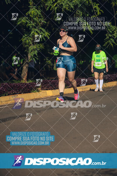 Vale Verde Run 2024