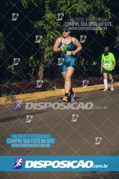 Vale Verde Run 2024