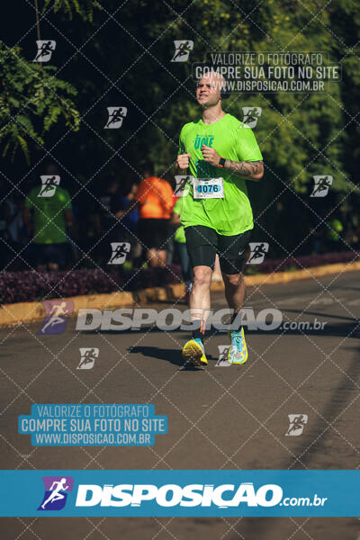 Vale Verde Run 2024