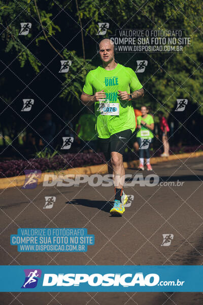 Vale Verde Run 2024