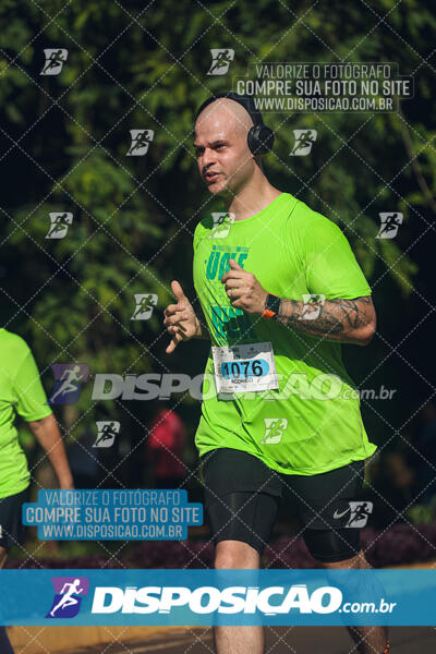 Vale Verde Run 2024