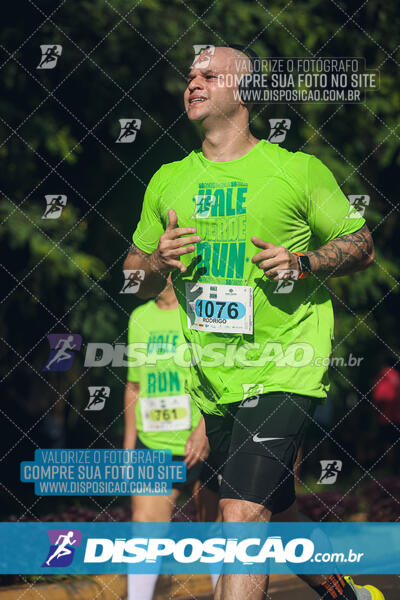 Vale Verde Run 2024