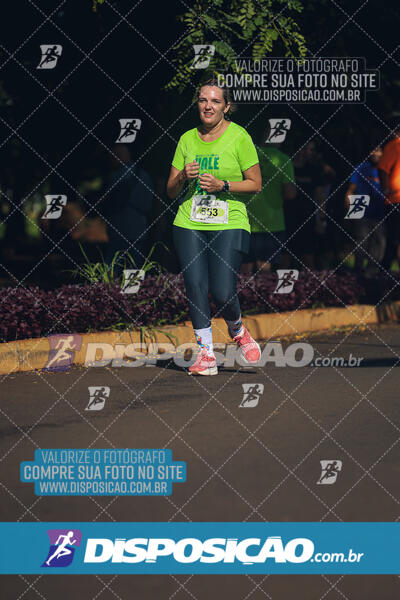 Vale Verde Run 2024