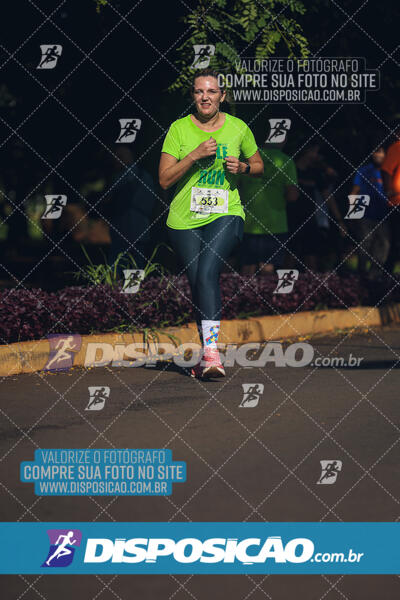 Vale Verde Run 2024