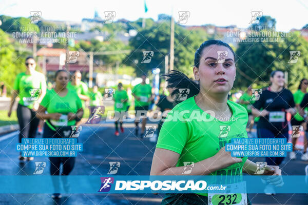 Vale Verde Run 2024