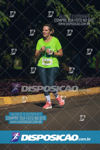 Vale Verde Run 2024