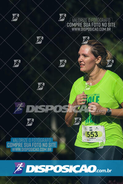 Vale Verde Run 2024