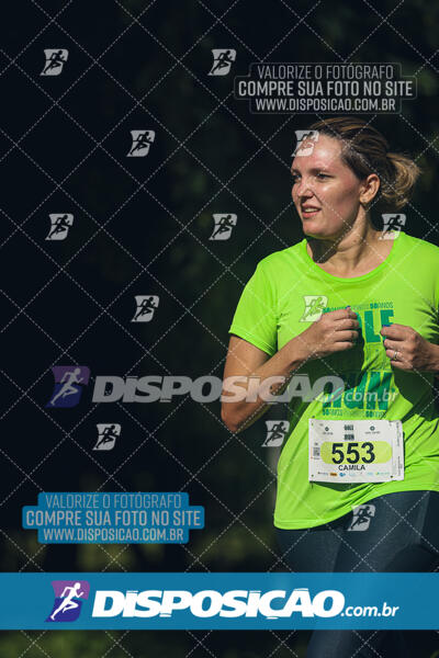 Vale Verde Run 2024