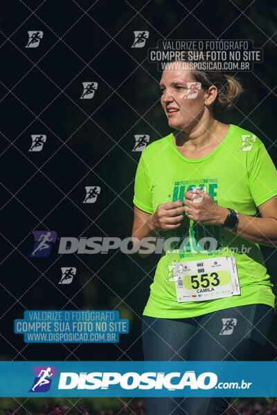 Vale Verde Run 2024