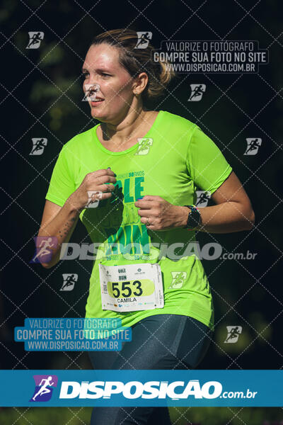 Vale Verde Run 2024