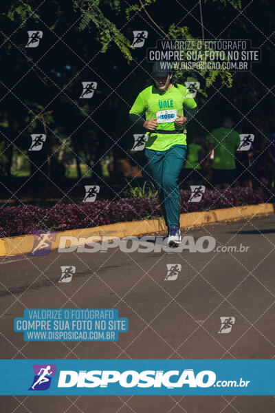 Vale Verde Run 2024